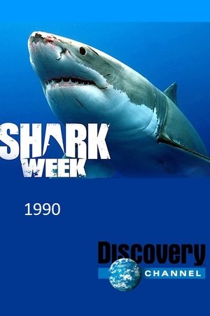 Poster for Shark Week: 1990