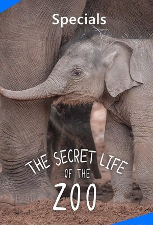 Poster for The Secret Life of the Zoo: Specials