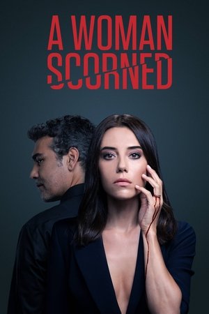 Poster for A Woman Scorned: Season 2