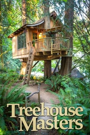 Poster for Treehouse Masters: Season 3
