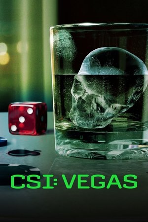 Poster for CSI: Vegas: Season 3