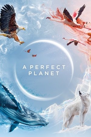 Poster for A Perfect Planet: Miniseries