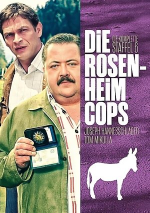 Poster for Die Rosenheim-Cops: Season 6