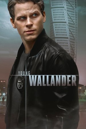 Poster for Young Wallander: Season 1