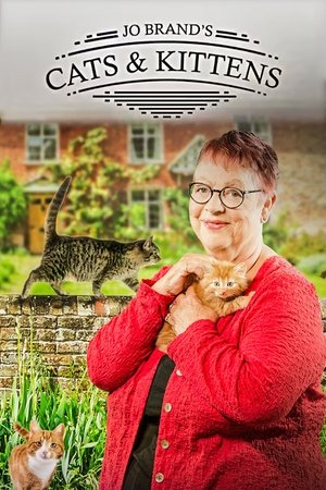 Poster for Jo Brand's Cats & Kittens: Season 2