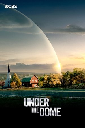 Poster for Under the Dome: Specials