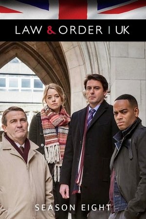 Poster for Law & Order: UK: Series 8