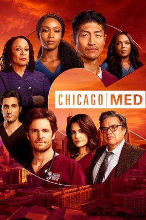 Poster for Chicago Med: Season 6