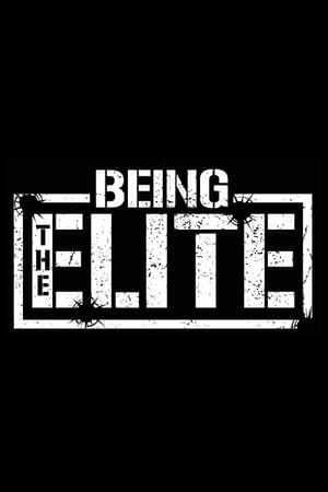 Poster for Being The Elite: Season 1