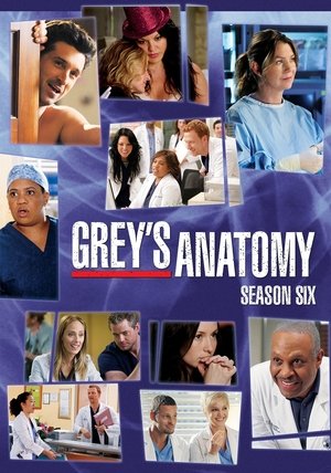 Poster for Grey's Anatomy: Season 6