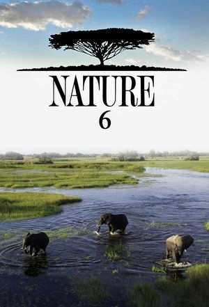 Poster for Nature: Season 6