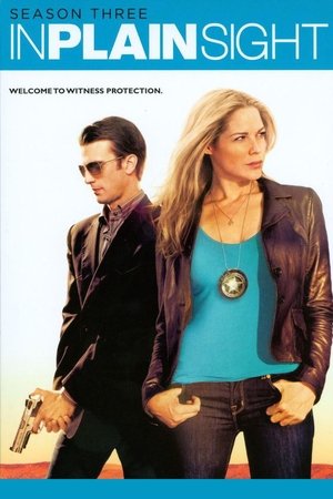 Poster for In Plain Sight: Season 3