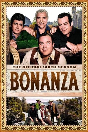 Poster for Bonanza: Season 6