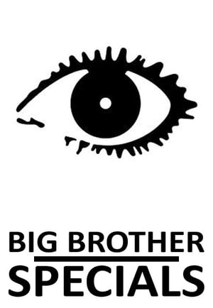 Poster for Big Brother: Specials
