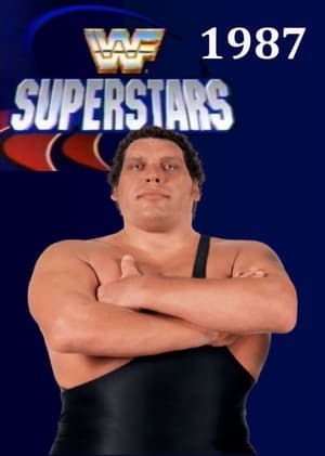 Poster for WWF Superstars Of Wrestling: Season 2