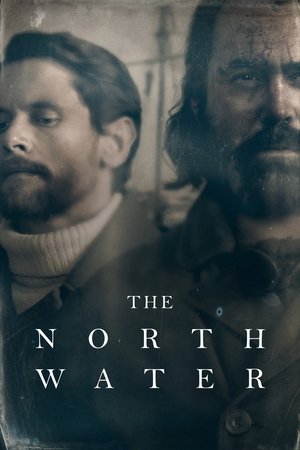 Poster for The North Water: Miniseries