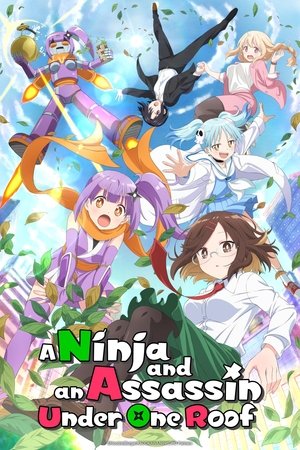 Poster for A Ninja and an Assassin Under One Roof: Season 1