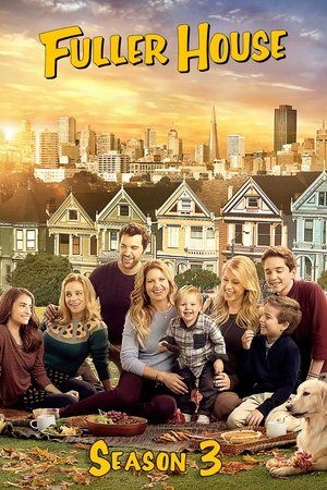 Poster for Fuller House: Season 3