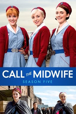 Poster for Call the Midwife: Series 5