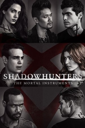 Poster for Shadowhunters: Season 2