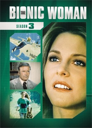 Poster for The Bionic Woman: Season 3
