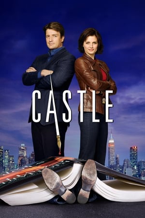 Poster for Castle: Season 1