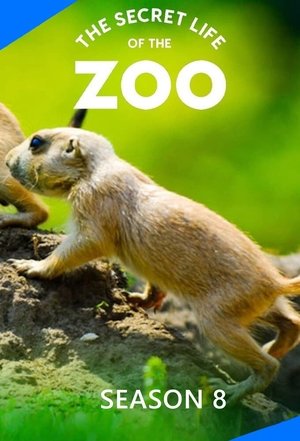 Poster for The Secret Life of the Zoo: Season 8
