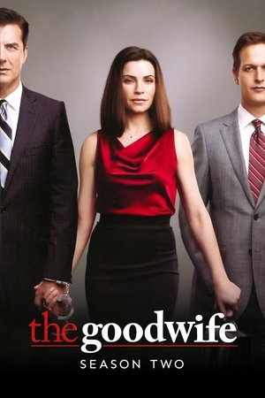 Poster for The Good Wife: Season 2