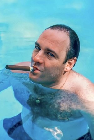 Poster for The Sopranos