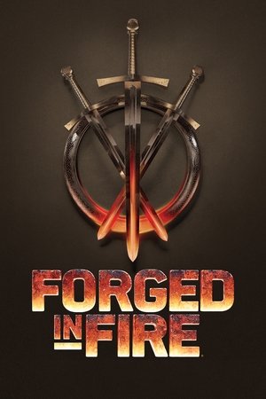 Poster for Forged in Fire: Specials