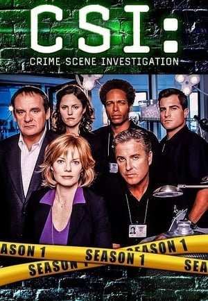 Poster for CSI: Crime Scene Investigation: Season 1