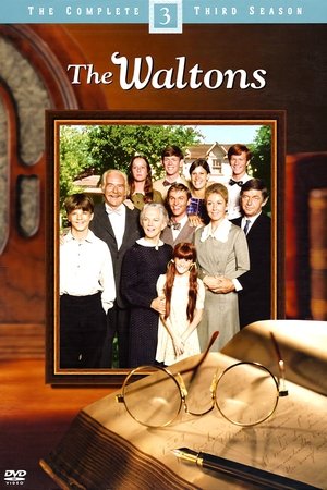 Poster for The Waltons: Season 3