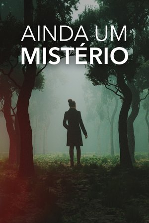 Poster for Still a Mystery: Season 2