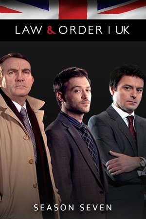 Poster for Law & Order: UK: Series 7