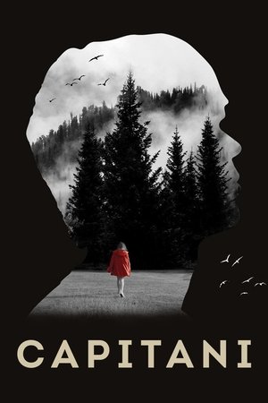 Poster for Capitani: Season 1