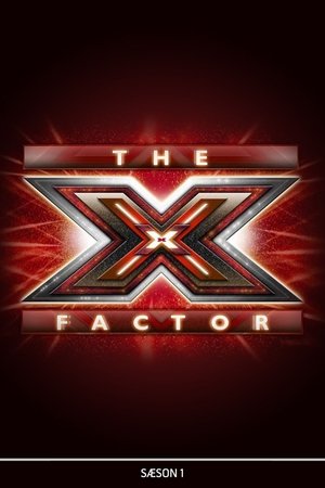 Poster for X Factor (DK): Season 1