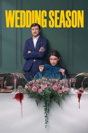 Poster for Wedding Season: Season 1