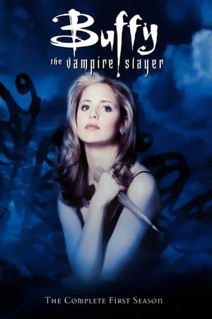 Poster for Buffy the Vampire Slayer: Season 1