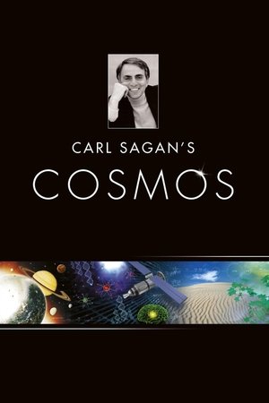Poster for Cosmos: A Personal Voyage: Season 1