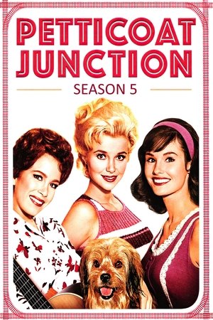 Poster for Petticoat Junction: Season 5