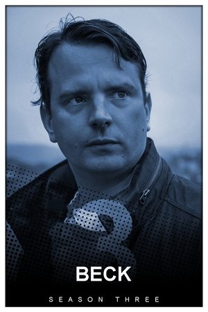 Poster for Beck: Season 3