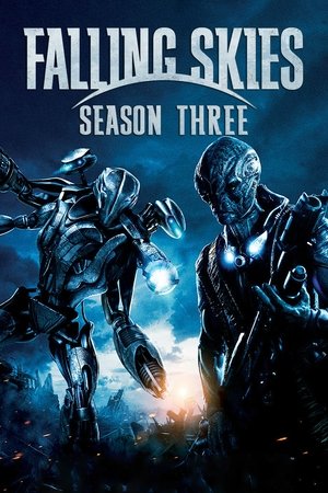 Poster for Falling Skies: Season 3