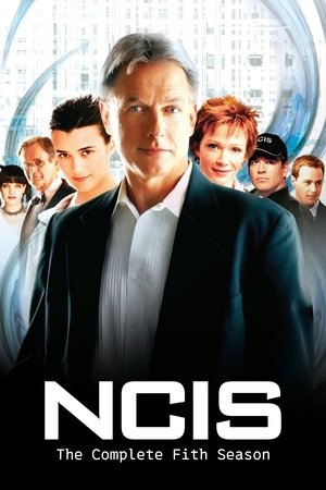 Poster for NCIS: Season 5