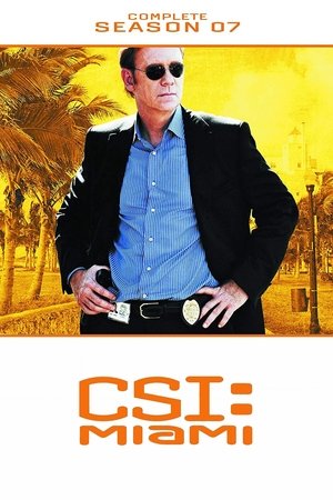 Poster for CSI: Miami: Season 7
