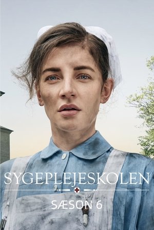 Poster for The New Nurses: Season 6