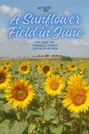 Poster for A Sunflower Field in June: Season 1