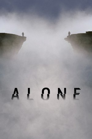 Poster for Alone: Lost & Found