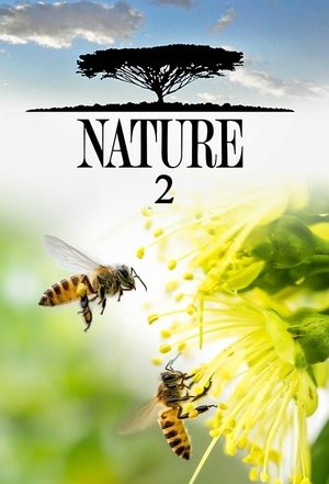 Poster for Nature: Season 2