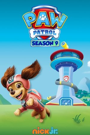 Poster for PAW Patrol: Season 9