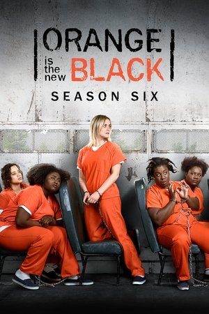 Poster for Orange Is the New Black: Season 6